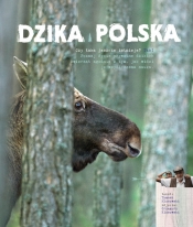 Dzika Polska - Kłosowski Tomasz