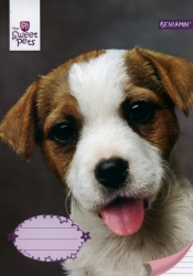 Zeszyt A5 Sweet Pets w linię 32 kartki 5 sztuk