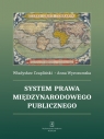 System prawa międzynarodowego publicznego Władysław Czapliński, Anna Wyrozumska