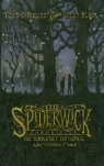Spiderwick Chronicles Diterlizzi Tony, Black Holly