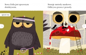 Detektyw Sowa na tropie. Czytam sobie. Poziom 2 - Marcin Baran