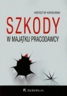 Szkody w majątku pracodawcy  Korociński Krzysztof