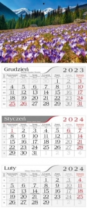 Kalendarz 2024 Trójdzielny Krokusy