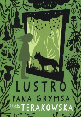 Lustro pana Grymsa - Dorota Terakowska