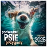  Kalendarz 2025 ścienny 330x330 Podwodne psie przygody