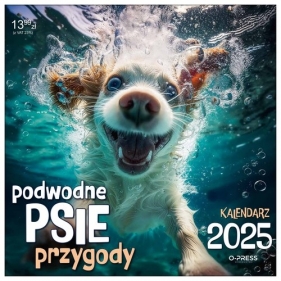 Kalendarz 2025 ścienny 330x330 Podwodne psie przygody