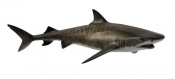 Rekin tygrysi Collecta morskie L (004-88661)