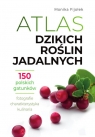 Atlas dzikich roślin jadalnych 150 polskich gatunków Fijołek Monika