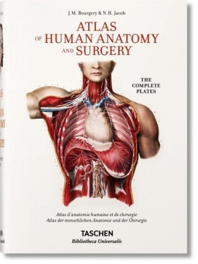 Atlas of Human Anatomy and Surgery