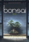 Kalendarz 2022 Wieloplanszowy Bonsai CRUX