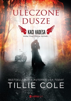 Uleczone dusze Kaci Hadesa - Tillie Cole