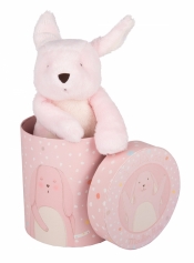 Pluszowy różowy króliczek w pudełku (710062)