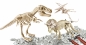 Naukowa Zabawa: Jurassic World Trex Pterados