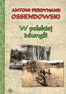 W polskiej dżungli Antoni Ferdynand Ossendowski