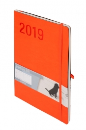 Kalendarz 2019 Minimalizm B5 pomarańczowy TNS Notes