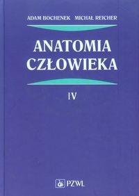 Anatomia człowieka Tom 4