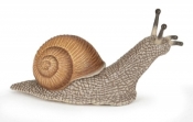 Ślimak