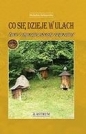 Co się dzieje w ulach - Michalina Stefanowska