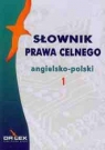 Słownik prawa celnego angielsko-polski / Słownik terminologii celnej UE Kapusta Piotr