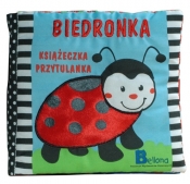 Biedronka
