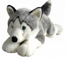 Husky 62cm