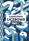  Łamigłówki liczbowe. 160 wyzwań dla mózgu