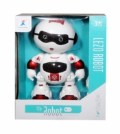 Robot STEROWANY