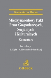 Międzynarodowy Pakt Praw Gospodarczych, Socjalnych i Kulturalnych. Komentarz