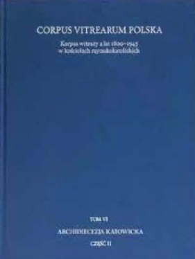 Korpus witraży T.6 Archidiecezja Katowicka cz.2 - Tomasz Szybisty, Joanna Utzig