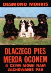 Dlaczego pies merda ogonem