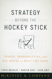 Strategy Beyond the Hockey Stick People Probabilities and Big Moves to Beat the Odds - Bradley Chris, Hirt Martin, Smit Sven