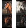 Paczka Zeszyt A5 60k. linia okładka laminowana Wild Heart 10 sztuk
