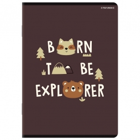 Zeszyt Top 2000 Basic A5/16k linia podwójna kolorowa, 1 szt