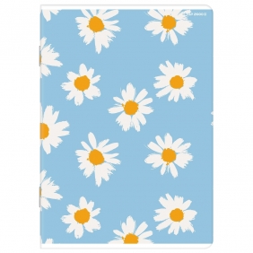 Zeszyt Top 2000 Basic A5/16k linia podwójna kolorowa, 1 szt