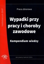 Wypadki przy pracy i choroby zawodowe Kompendium wiedzy + CD
