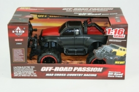 Auto R/C (074162)