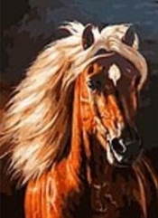 Mozaika diamentowa koń 40x50cm