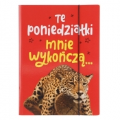 Teczka kartonowa na gumkę Pan Dragon Ale jak to A4 kolor: różnokolorowy