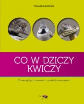 Co w dziczy kwiczy