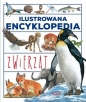 Ilustrowana encyklopedia - Opracowanie zbiorowe