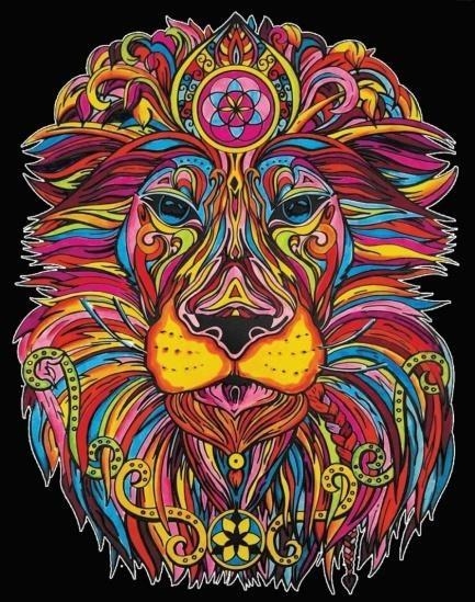 Kolorowanka welwetowa Lew władca 47x35cm
