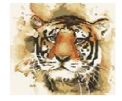 Malowanie po numerkach Creative Adults. Tygrys