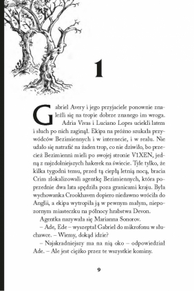 Akademia Crookhaven. Tom 4. Niezdobyta twierdza - J. J. Arcanjo