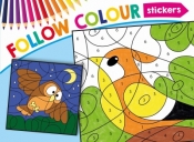 Follow Colour Ptaki - Opracowanie zbiorowe
