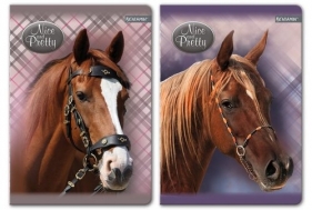 ZESZYT A5/60k. Linia NICE AND PRETTY