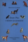 Stary Pies i siedem szczeniaków Choiński Krysztof