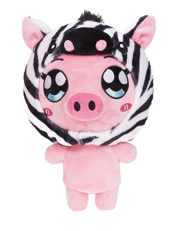 Academy plusz świnka