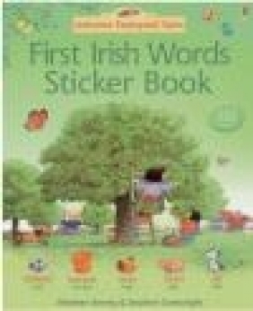 First Irish Sticker Book Heather Amery