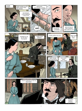 Adaptacje literatury. Pani Bovary - Daniel Bardet, Michel Janvier