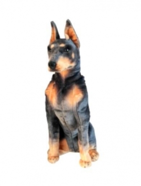 Doberman 66cm